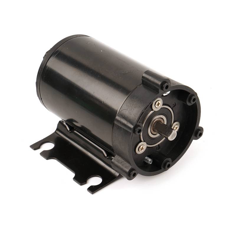 Water Pump Motor